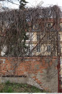 Photo Textures of Nature